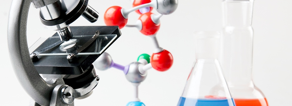 Archiwum dokumentacji w projekcie Regionalne wsparcie rozwoju kompetencji kluczowych w pomorskich szkołach