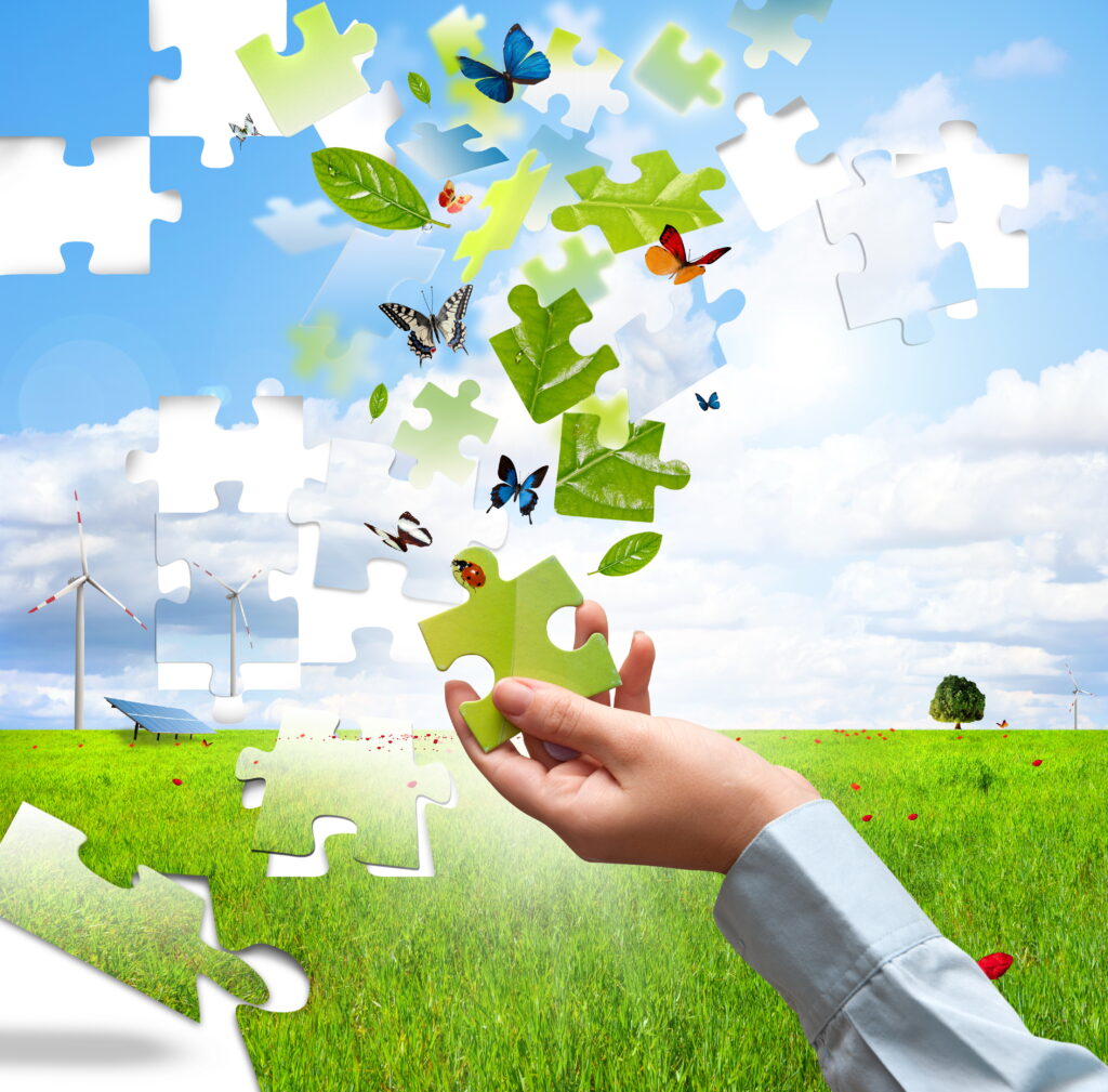 Zaproszenie na EKOfeston